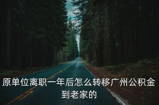原單位離職一年后怎么轉(zhuǎn)移廣州公積金到老家的