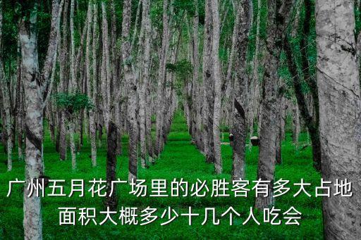 廣州五月花廣場(chǎng)里的必勝客有多大占地面積大概多少十幾個(gè)人吃會(huì)