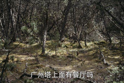 廣州塔上面有餐廳嗎
