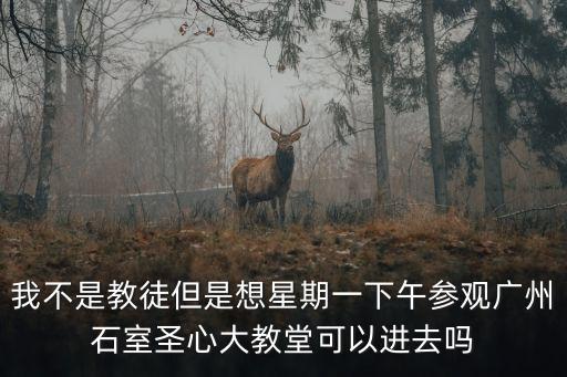 廣州石心大教堂能進嗎，廣州石室圣心大教堂不是教徒都可以進嗎我想過幾天去參觀最好是教