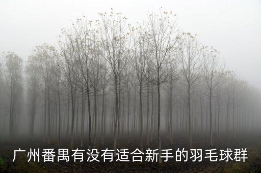 廣州番禺有沒有適合新手的羽毛球群