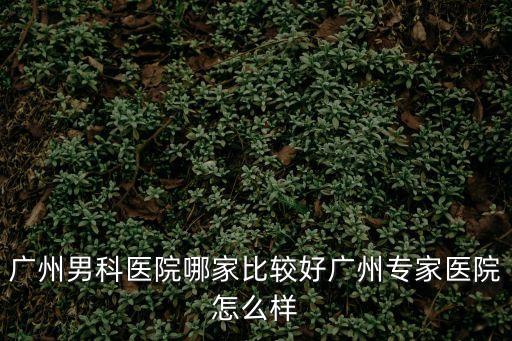 廣州男科醫(yī)院哪家比較好廣州專(zhuān)家醫(yī)院怎么樣