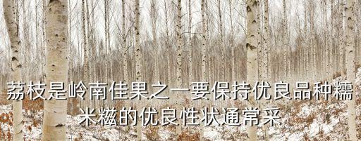 廣州糯米糍荔枝，廣州從化那里有荔枝摘啊要糯米糍桂味