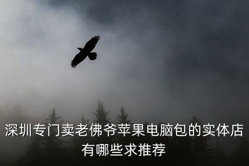 深圳專門賣老佛爺蘋果電腦包的實體店有哪些求推薦