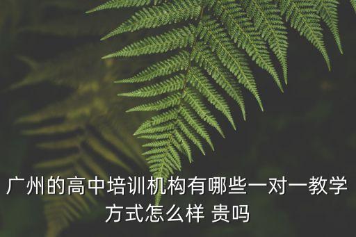 廣州培育高中，廣州的高中培訓機構有哪些一對一教學方式怎么樣 貴嗎