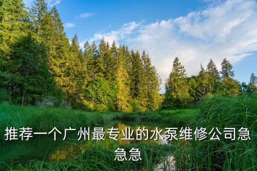 廣州水泵維修電話，廣州水泵維修廣州水泵保養(yǎng)的話找哪個公司