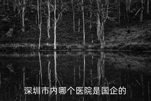 深圳寶區(qū)中醫(yī)院屬于什么企業(yè)，深圳市內(nèi)哪個醫(yī)院是國企的