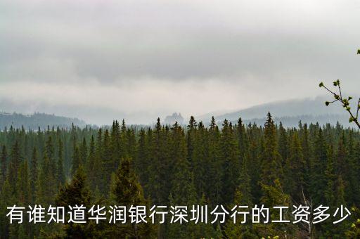 有誰知道華潤銀行深圳分行的工資多少