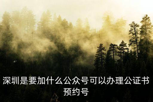 深圳身份證預約網上預約公眾號，深圳是要加什么公眾號可以辦理公證書預約號