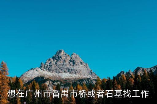 想在廣州市番禺市橋或者石基找工作