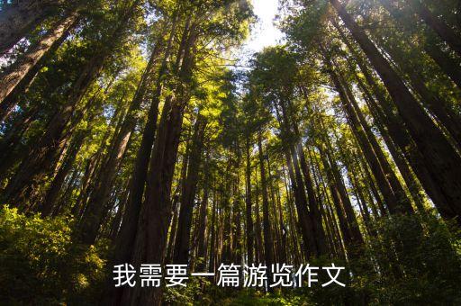 深圳市兒童公園游覽作文，寶隆游樂園作文5oo字