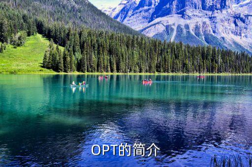 廣州放任美opt四合一，OPT完美脈沖指的是什么啊請問各位廣州OPT完美脈沖技術在產品