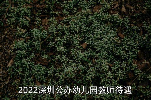 2022深圳公辦幼兒園教師待遇