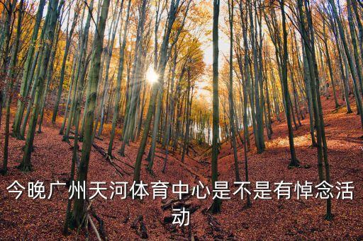 今晚廣州天河體育中心是不是有悼念活動