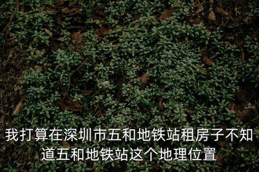 我打算在深圳市五和地鐵站租房子不知道五和地鐵站這個地理位置