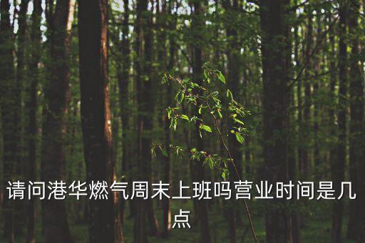 廣州燃?xì)夤?營(yíng)業(yè)時(shí)間，廣州市番禺煤氣公司南村客戶中心的營(yíng)業(yè)時(shí)間是什么