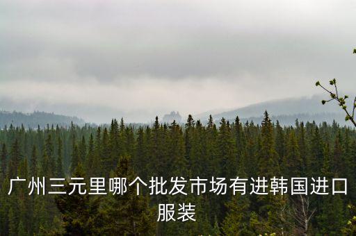 廣州三元里哪個批發市場有進韓國進口服裝