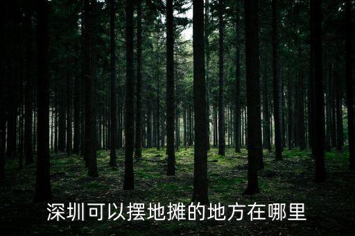 深圳可以擺地?cái)偟牡胤皆谀睦? class=