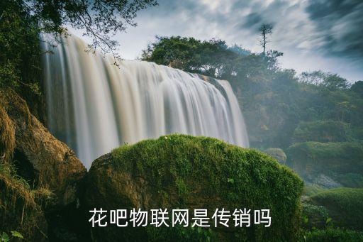 廣州花吧物聯(lián)網(wǎng)有限公司，廣州市天河區(qū)建中路4850號佳都國際大夏二樓是什么公司