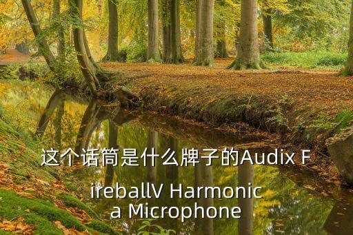 廣州銳意話筒，這個話筒是什么牌子的Audix FireballV Harmonica Microphone