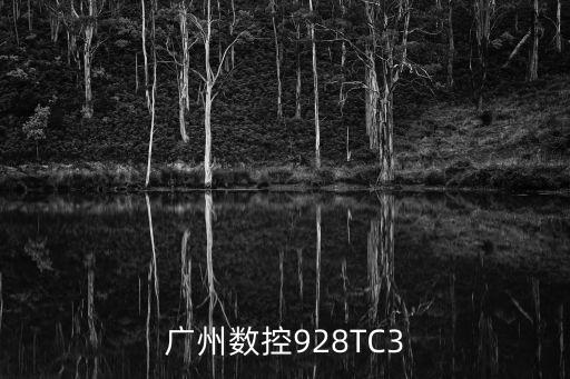 廣州928tc面板圖片，廣州數控928TC