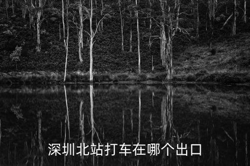 深圳北站打車在哪個(gè)出口