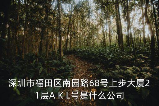 深圳市芯茂微客戶，地址深圳市福田區深南大道2008號鳳凰大廈7樓 華龍電子有限公司