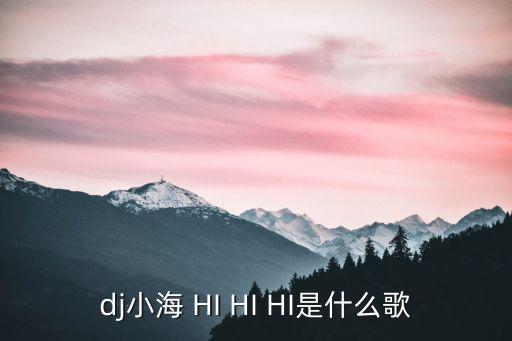 dj深圳小海，dj小海 HI HI HI是什么歌