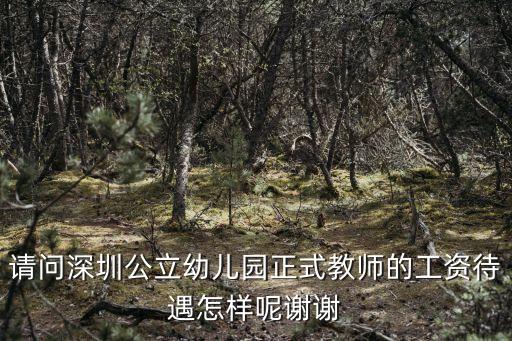 深圳學前教育工資文件，百度百科幼兒教師工資
