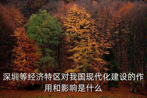深圳等經(jīng)濟特區(qū)對我國現(xiàn)代化建設(shè)的作用和影響是什么