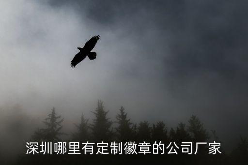 深圳有來(lái)料刻制Logo的嗎，深圳哪里有定制徽章的公司廠家