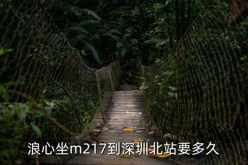從浪心村委到深圳北站，從浪心村委到深圳西火車站怎么走