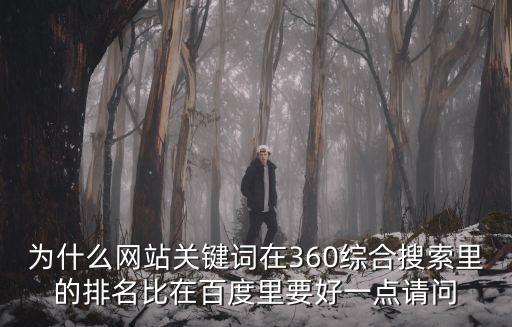 為什么網站關鍵詞在360綜合搜索里的排名比在百度里要好一點請問
