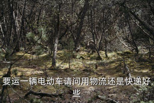 要運一輛電動車請問用物流還是快遞好些