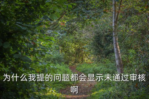 深圳幼升小顯示未審核，為什么我提的問題都會顯示未通過審核啊