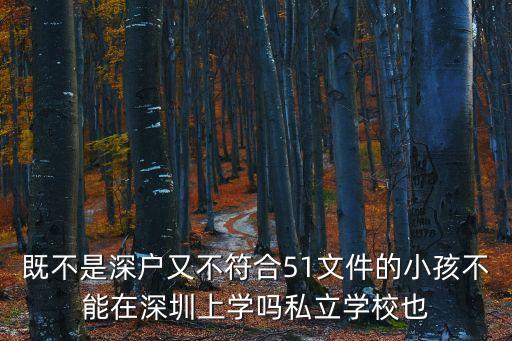 既不是深戶又不符合51文件的小孩不能在深圳上學(xué)嗎私立學(xué)校也