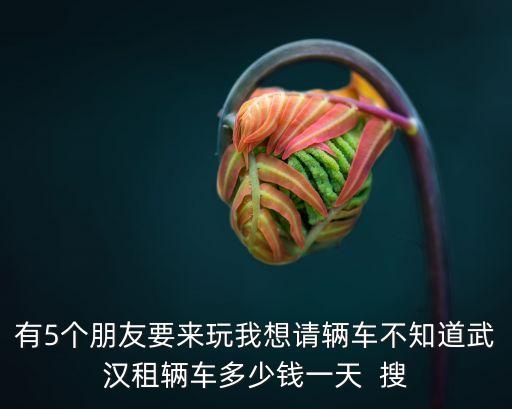有5個(gè)朋友要來玩我想請(qǐng)輛車不知道武漢租輛車多少錢一天  搜
