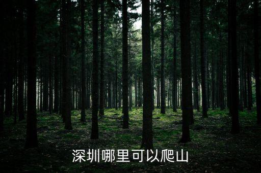深圳跑山圣地，深圳市龍崗區(qū)哪里可以爬山的最好在公園里面不要太偏僻人煙稀