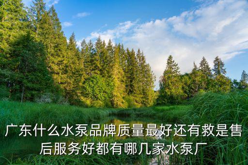 廣州水泵品牌排行，廣東生產(chǎn)水泵有哪些品牌