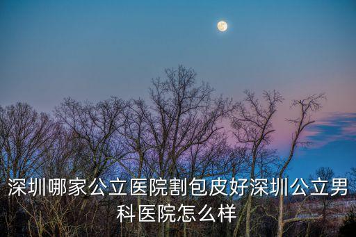 深圳哪家公立醫(yī)院割包皮好深圳公立男科醫(yī)院怎么樣