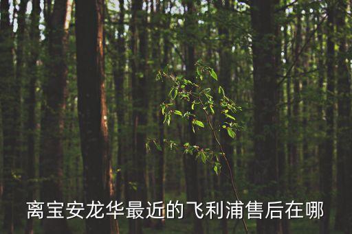 離寶安龍華最近的飛利浦售后在哪