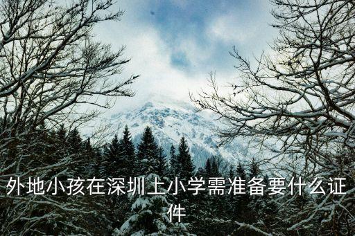 外地小孩在深圳上小學(xué)需準(zhǔn)備要什么證件