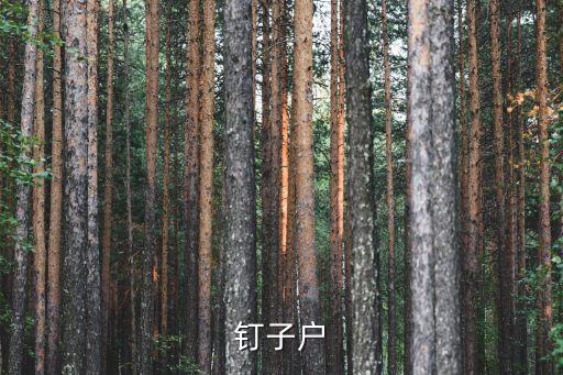 深圳要價三億的釘子戶，釘子戶
