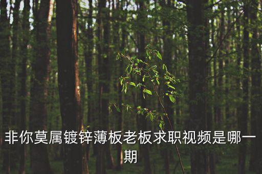 非你莫屬鍍鋅薄板老板求職視頻是哪一期