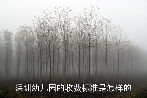 深圳幼兒園的收費標準是怎樣的