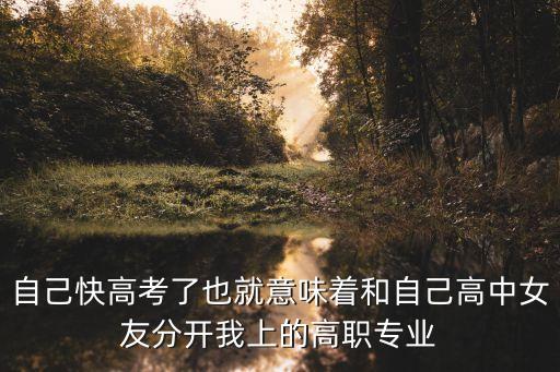 自己快高考了也就意味著和自己高中女友分開我上的高職專業