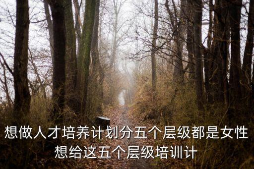 深圳聲樂人才培養(yǎng)計劃，想做人才培養(yǎng)計劃分五個層級都是女性想給這五個層級培訓(xùn)計