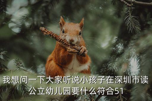 深圳公立幼兒園招生標(biāo)準(zhǔn)，外地戶(hù)口人員的小孩在深圳上幼兒園有哪些要求每年學(xué)費(fèi)大概要多少
