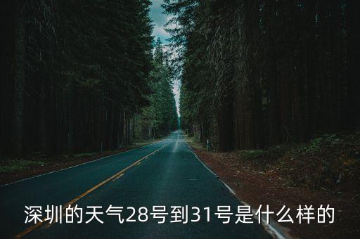 深圳的天氣28號到31號是什么樣的