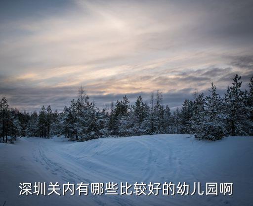 深圳關內有哪些比較好的幼兒園啊